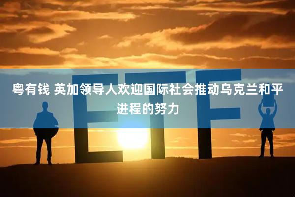 粤有钱 英加领导人欢迎国际社会推动乌克兰和平进程的努力