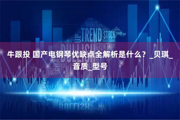 牛跟投 国产电钢琴优缺点全解析是什么？_贝琪_音质_型号