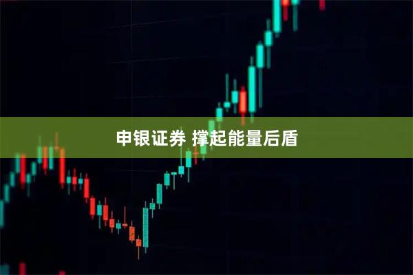 申银证券 撑起能量后盾