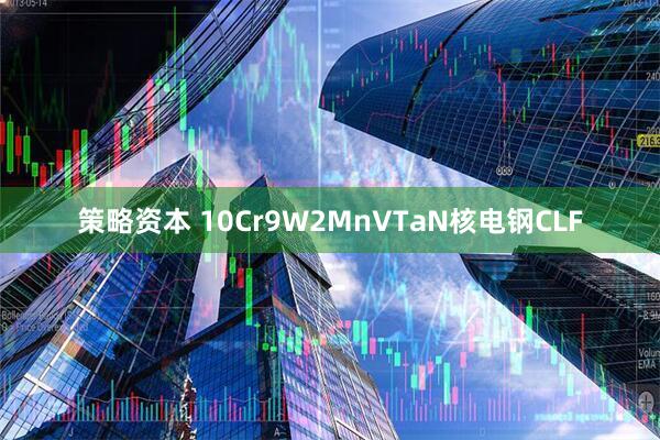 策略资本 10Cr9W2MnVTaN核电钢CLF