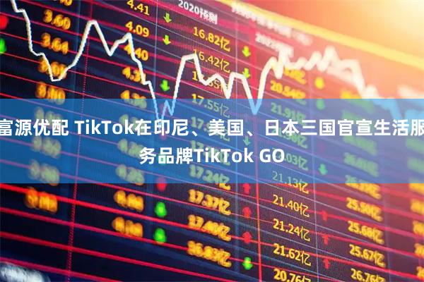 富源优配 TikTok在印尼、美国、日本三国官宣生活服务品牌TikTok GO